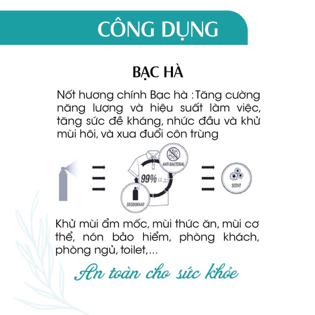 Xịt Phòng Tinh Dầu Bạc Hà Hữu Cơ Organic 24Care 50ML - Kháng khuẩn - Khử mùi hôi - Đuổi muỗi - côn trùng - Tập trung