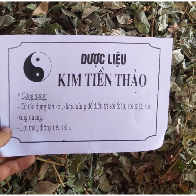 Kim tiền thảo