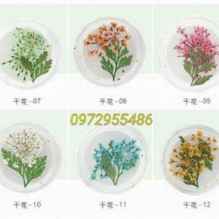 Hoa lụa hoa chùm khô