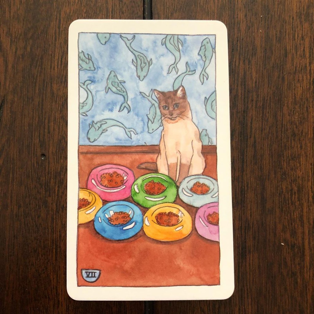 Bộ Bài Cat Tarot (Mystic House Tarot Shop)