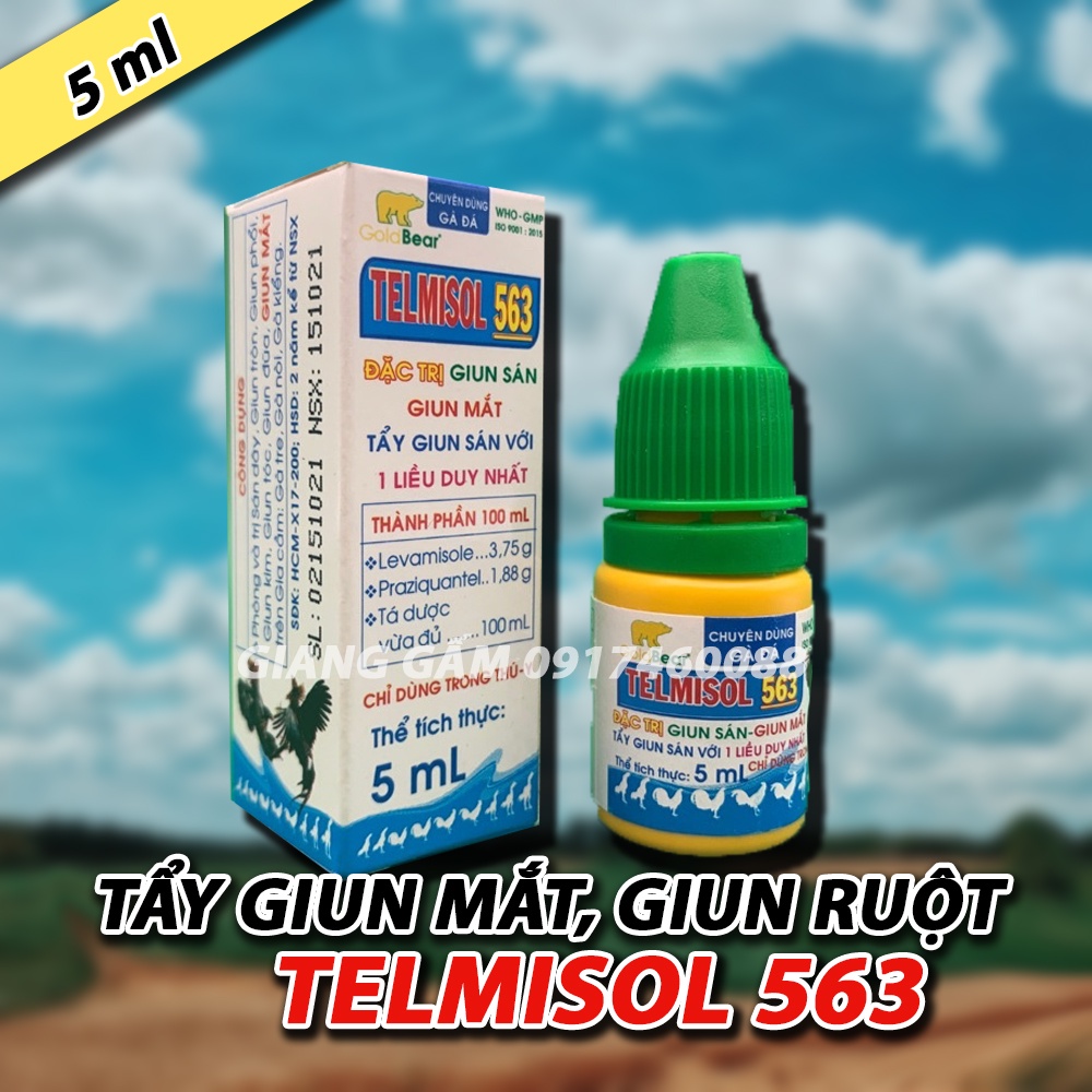Xổ lãi mắt TELMISOL 563 5ml