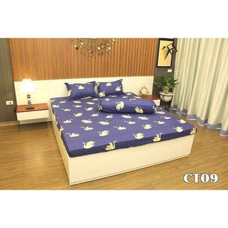 Bộ ga và vỏ gối cotton poly KGG