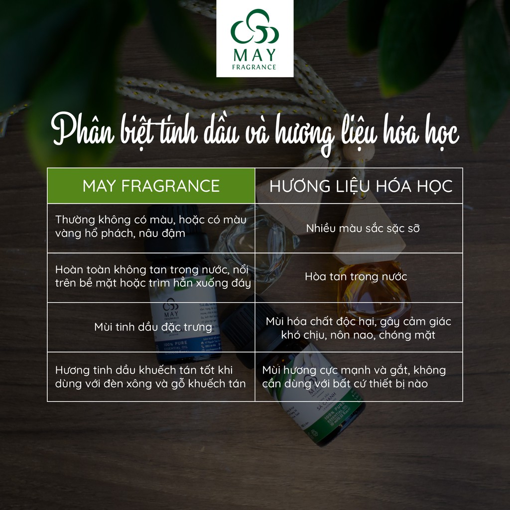 Tinh dầu Gỗ thông thiên nhiên thơm phòng May Fragrance lọ 10 ml