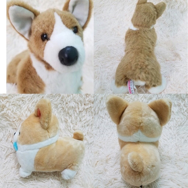 Gấu bông con chó Corgi giống như thật chính hãng