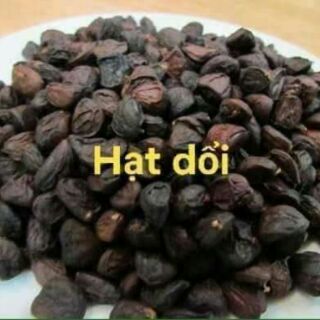 12 Hạt dổi