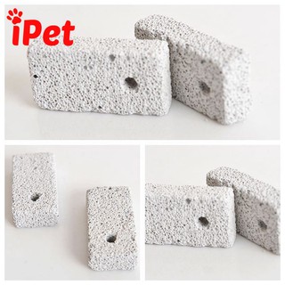 Đá Mài Răng Cho Hamster, Chuột Kiểng,Bọ,... - iPet Shop 🐇🐹