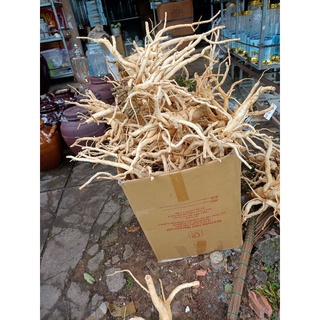 2kg củ đinh lăng tươi