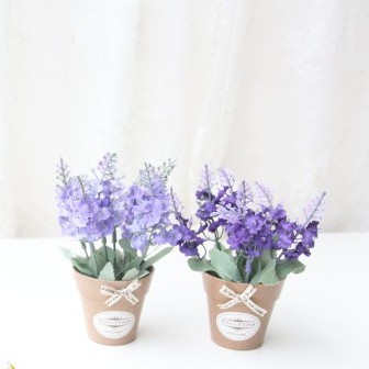 Chậu hoa lavender nhỏ xinh