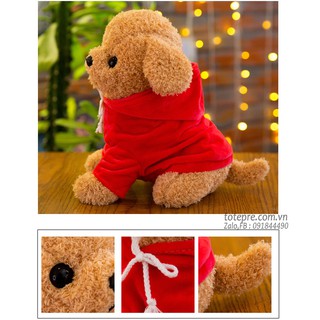 Chó Poople mặc áo hoodie