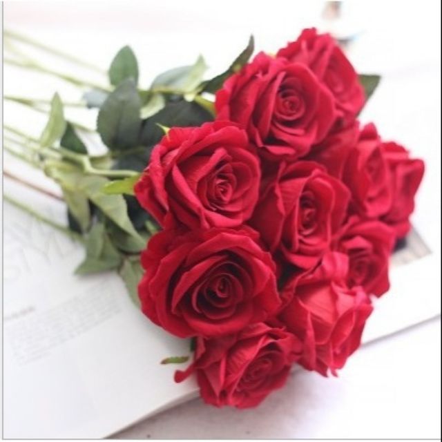 Hoa hồng nhung giống thật - sỉ 7.5k | BigBuy360 - bigbuy360.vn