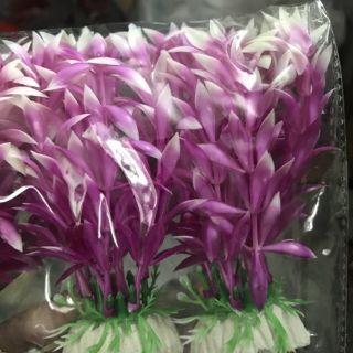 Cây nhựa mini trang trí bể cá combo 3 cây