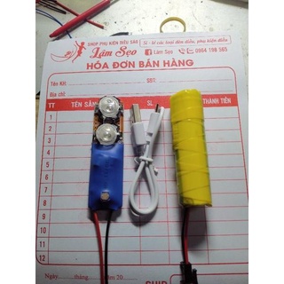 Đèn cảm biến lắp diều sáo loại 2 bóng độ chóa bảo vệ tăng độ sáng