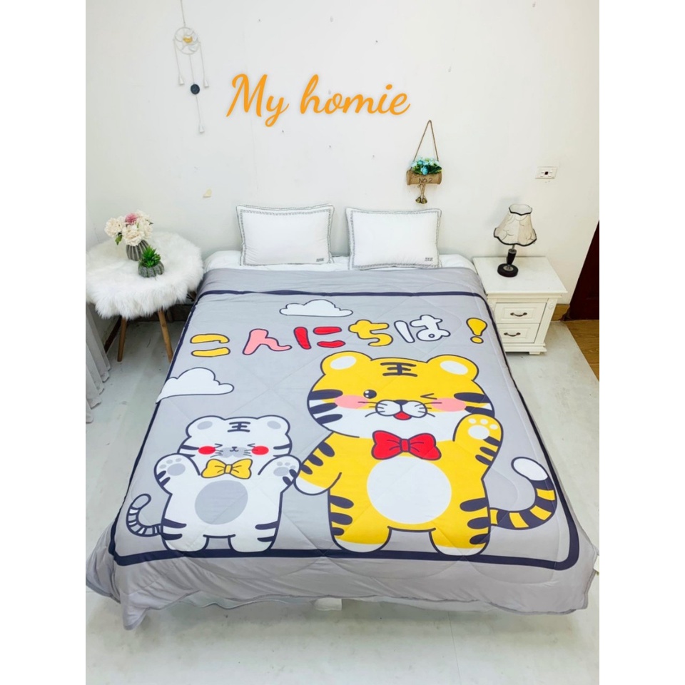 CHĂN THUN LẠNH - Phong cách Hàn Quốc - đắp mùa hè hoặc phòng điều hoà rất hợp