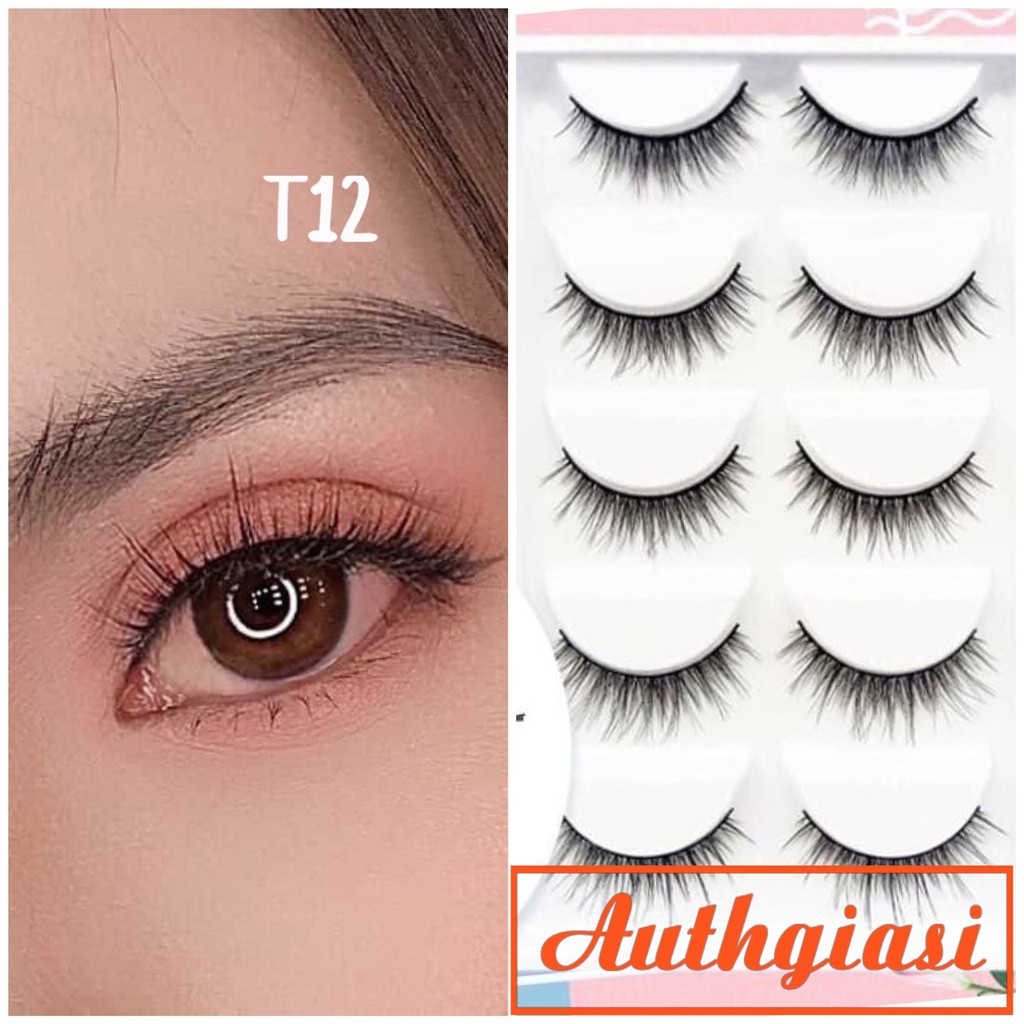 Mi chồn 5 đôi sợi mi tơi xịn mã T12