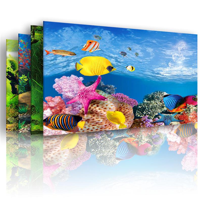 Poster Hai Mặt Trang Trí Bể Cá Chiều Cao 40 / 50cm