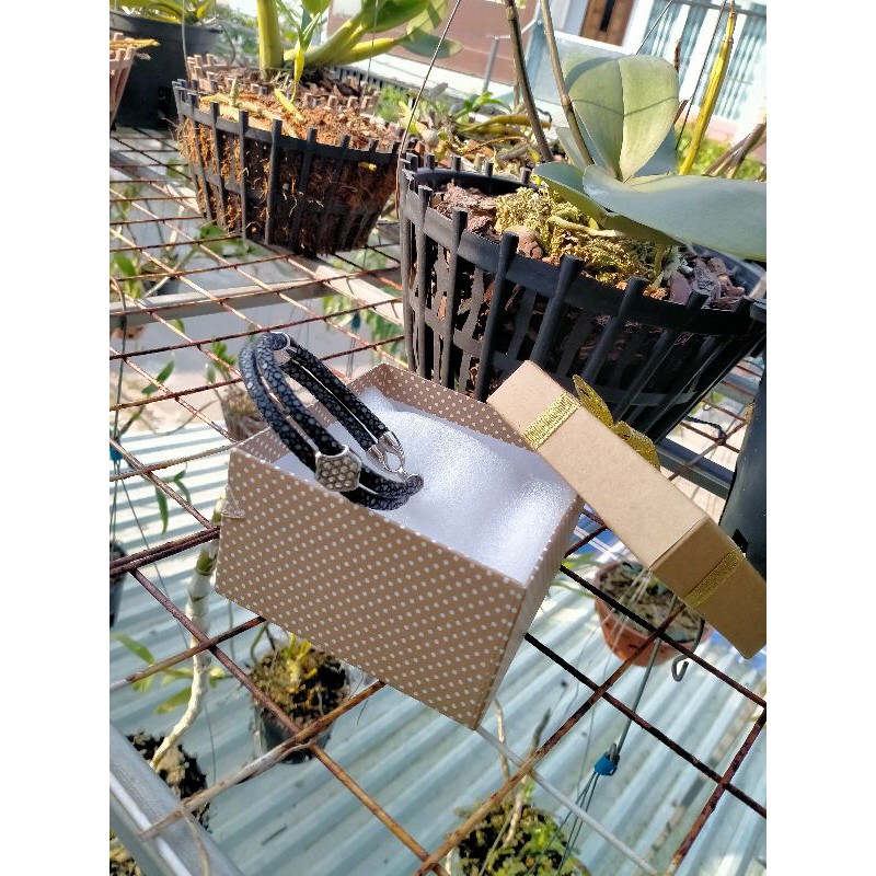 Vòng đôi cá đuối