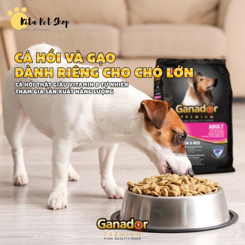 Thức Ăn Cho Chó Gói 400gr Chó Con Chó Trưởng Thành Chó Lớn Ganador - FIB's- Smartheart - adult - puppy