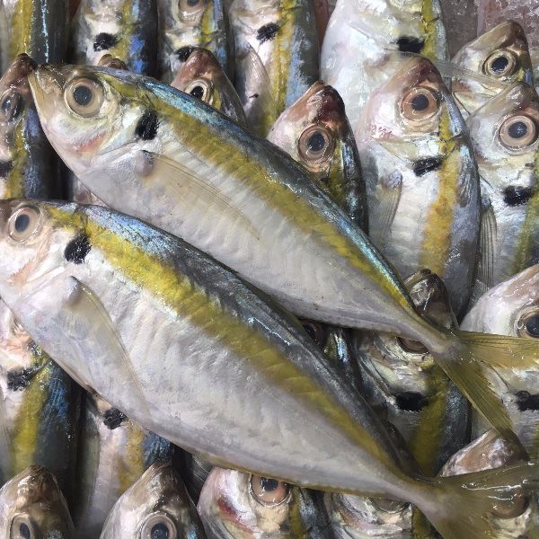 COMBO 2 GÓI CÁ CHỈ VÀNG KHÔ ĐẶC SẢN ĐÀ NẴNG LOẠI 1 ( gói 500gr )