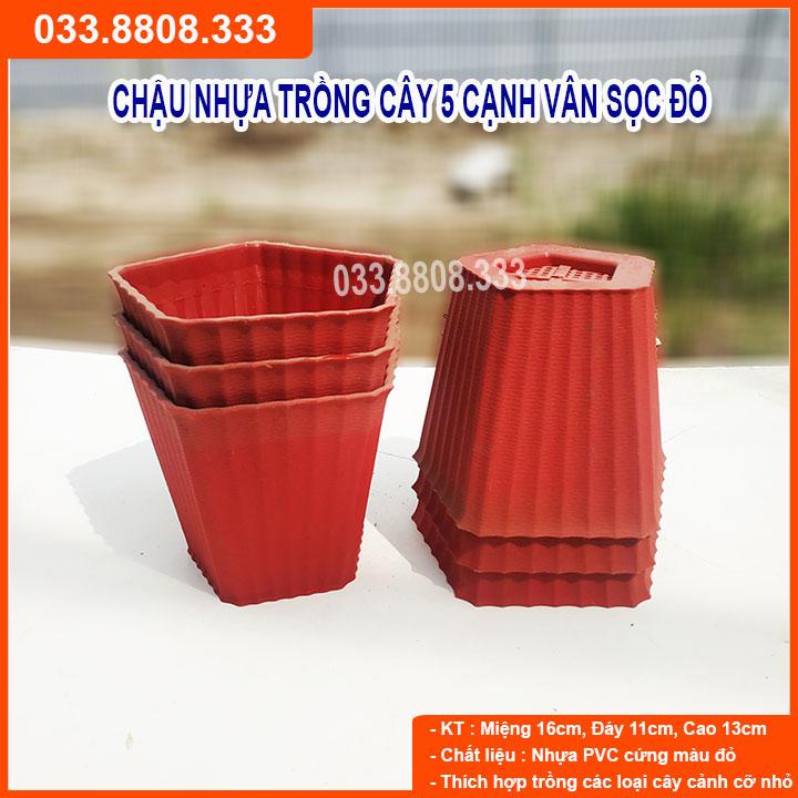 COMBO 5 CÁI CHẬU NHỰA TRỒNG CÂY 5 CẠNH VÂN SỌC ĐỎ -  SIÊU BỀN, ĐẸP