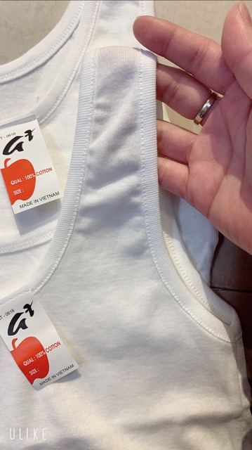 Áo Lót Lá Cotton Không Đệm | BigBuy360 - bigbuy360.vn