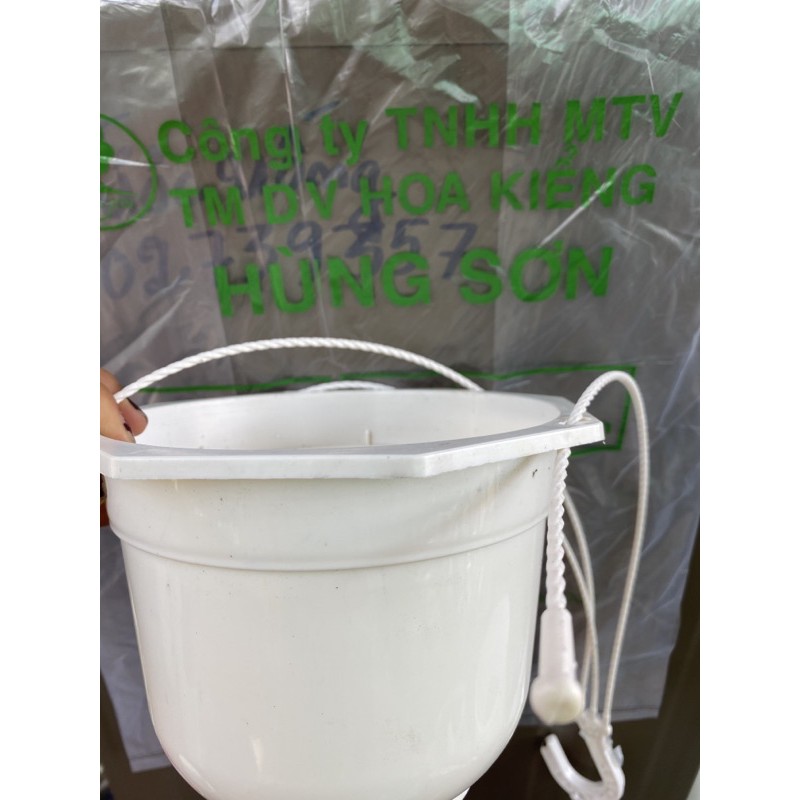 chậu nhựa treo ban công