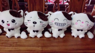 Mèo MengMeng 4 sắc thái