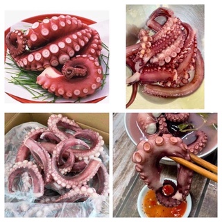 🐙1kg Râu bạch tuộc Nhật VIP giòn dai 💥GIAO HỎA TỐC TPHCM