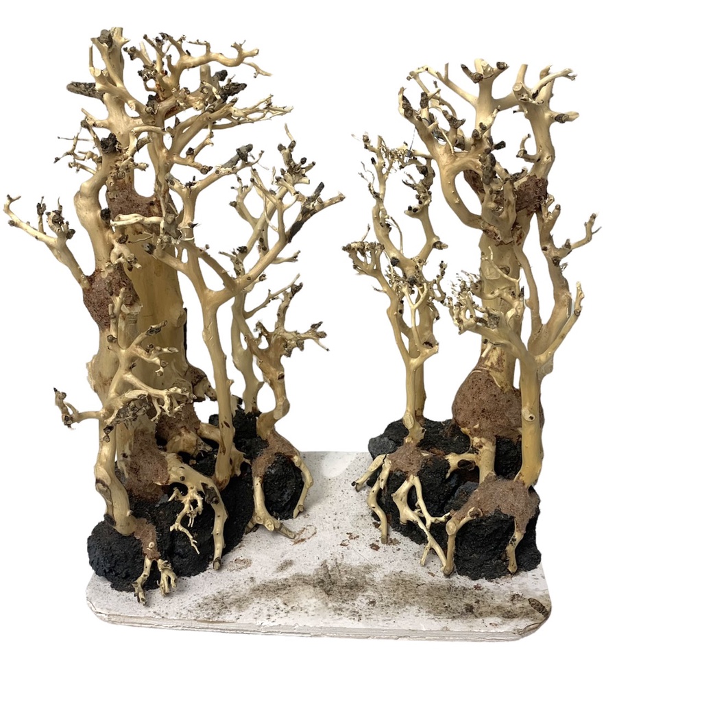 [NHẬN QUÀ KHI MUA ĐƠN 39K] Cây Bonsai Thuỷ Sinh Đã Tạo Dáng Và Ghép Đá - Bonsai Trang Trí Hồ Cá, Bể Cá