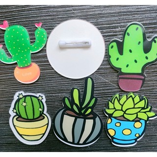 PIN CÀI ÁO, CÀI BALO