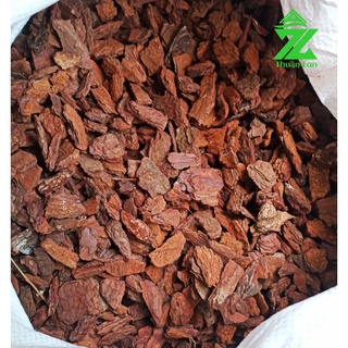 Vỏ Thông Size 2-3cm Túi 1kg
