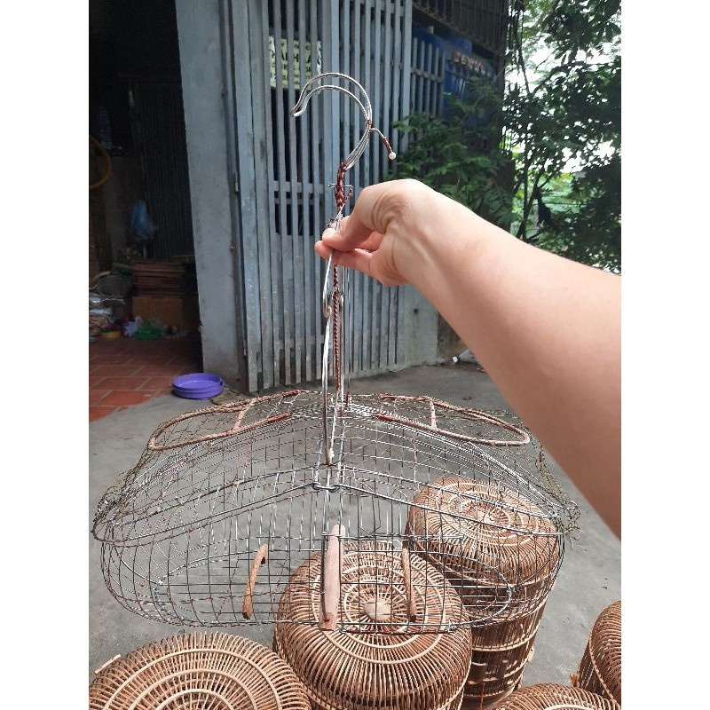 BẪY inox khuyên và chào mào SÀI GÒN loại 1 đẹp xịn