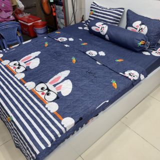 Trọn bộ 5 món Cotton poly