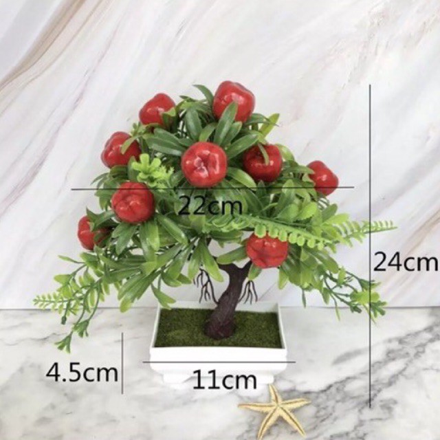 Chậu cây táo trang trí tết / cây nhựa bonsai