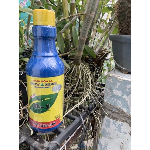 VITAMIN B1 GROWMORE CHAI 500ML