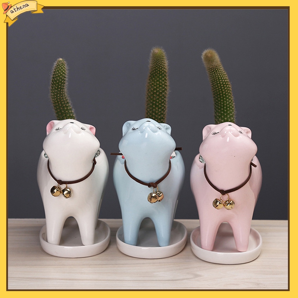 Chậu trồng cây trang trí hình mèo con dễ thương