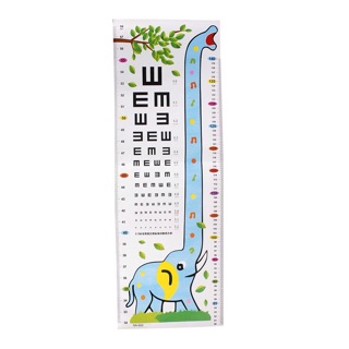 Decal dán tường đo chiều cao