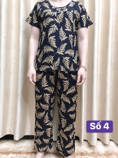Bộ lanh dài trung niên