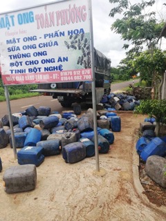 Mật ong hoa cà phê 100%tự nhiên