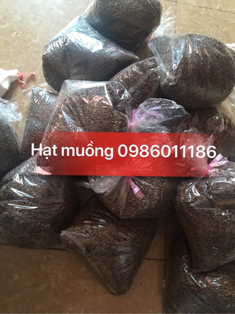 Hạt muồng 1kg- đồ chơi cho trẻ
