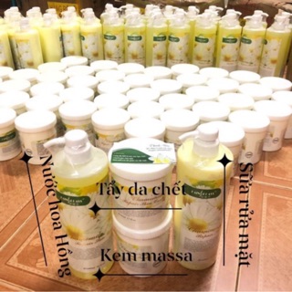 Bộ sản phẩm chăm sóc da Hoa Cúc tại spa