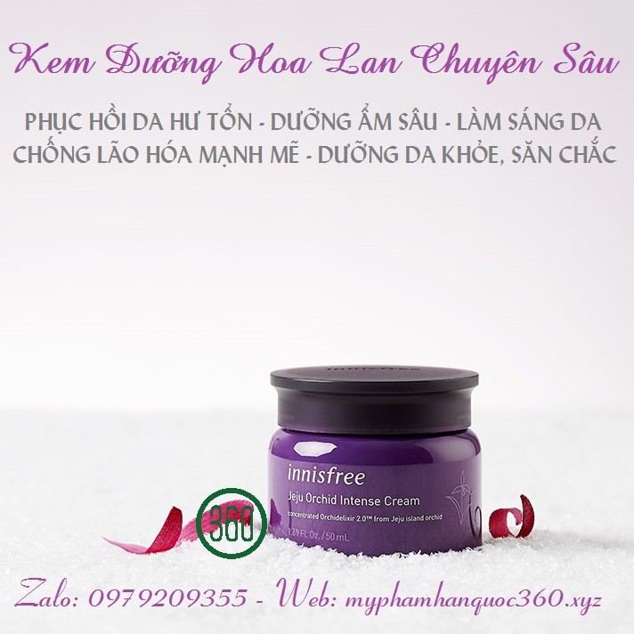 Kem Dưỡng Hoa Lan Chuyên Sâu Innisfree Jeju Orchid Intense Cream 50ml