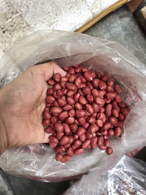 1kg lạc đỏ Thái Bình hạt đều không mốc