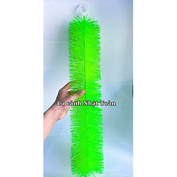 CHỔI LỌC MÀU DẠ QUANG VẬT LIỆU LỌC CHO HỒ CÁ KOI