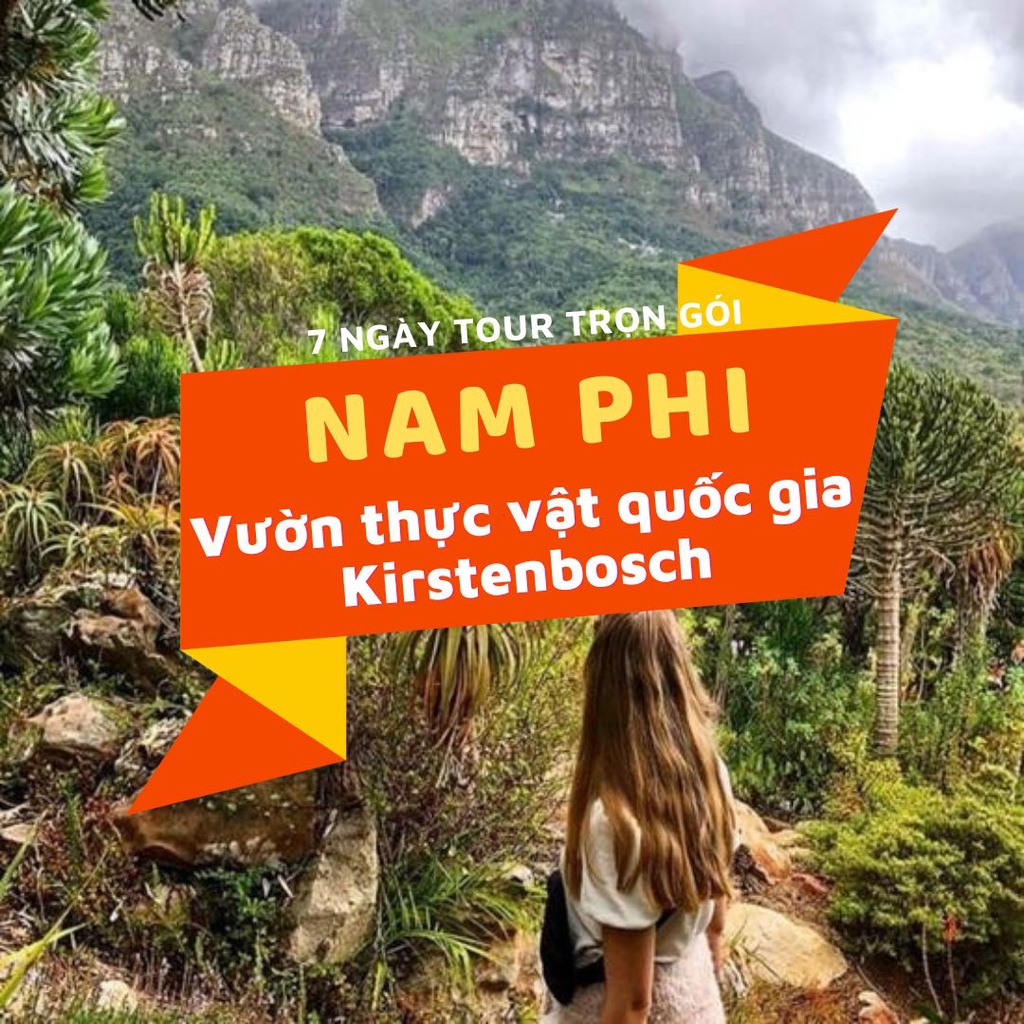 Nam Phi: Cape Town - Sun City - Pretoria - Johannesburg: Mùa Hoa Phượng Tím