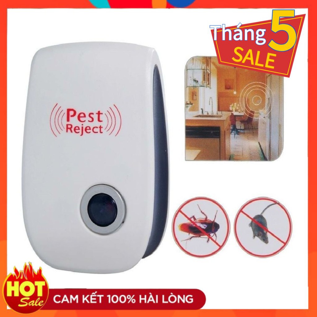 ĐUỔI CÔN TRÙNG PEST REJECT - MUỖI ,DÁN,CHUỘT