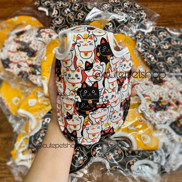 Nón kết &quot;CARTON&quot; năng động cho thú cưng⛑⛑