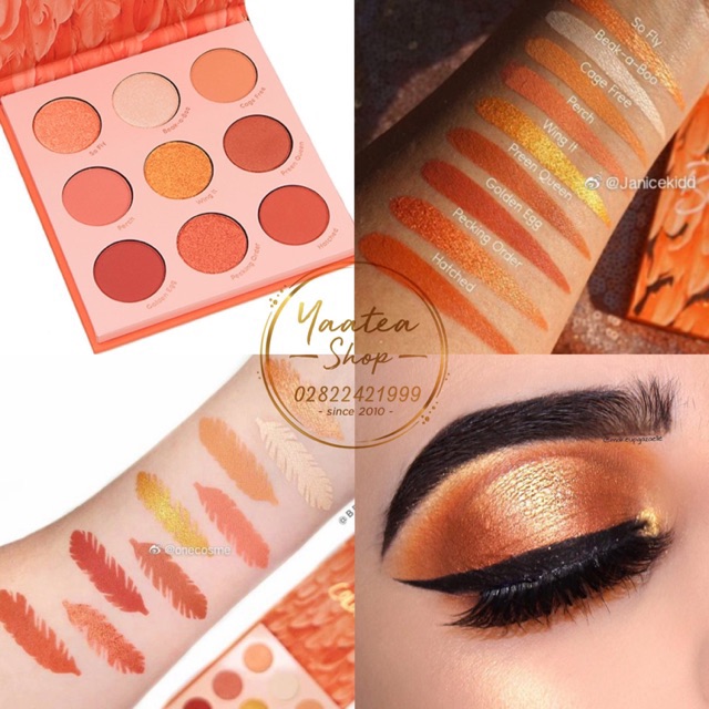 Bảng phấn mắt Colourpop Bird of Paradise