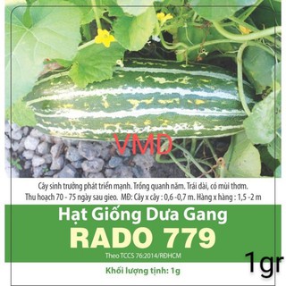 Hạt giống Dưa Gang