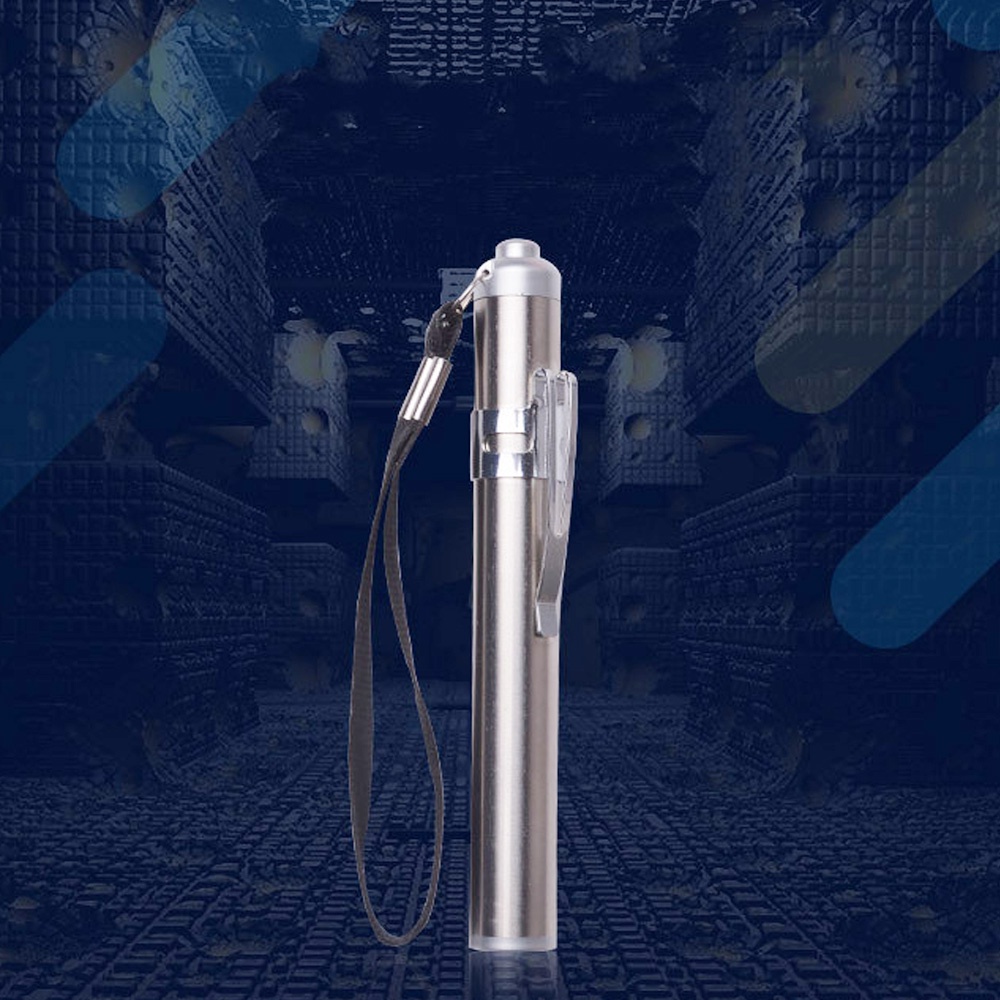 Đèn LED Ấp Trứng Mini Bằng Thép Không Gỉ Sử Dụng Pin