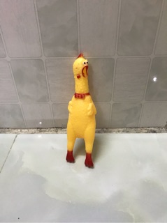 Đồ chơi gà Shrilling Chicken